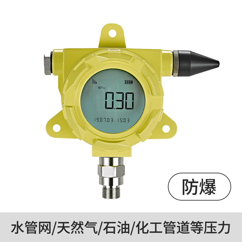 防爆型无线压力表